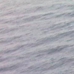 Fresh oil has been seen this morning leaking from the ship, heading in a south-westerly direction.